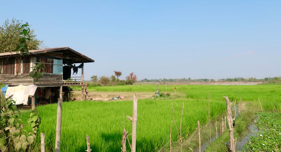 Champasak omgeving Laos